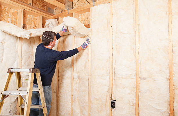 Best Garage Insulation  in Wellington, OH